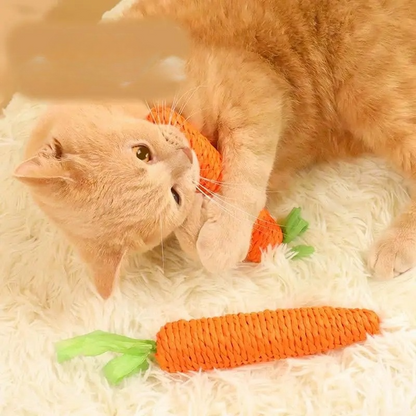 Durable Carrot Cat Chew Toy – Bite-Resistant Teething Toy for Dental Health and Fun Play 0