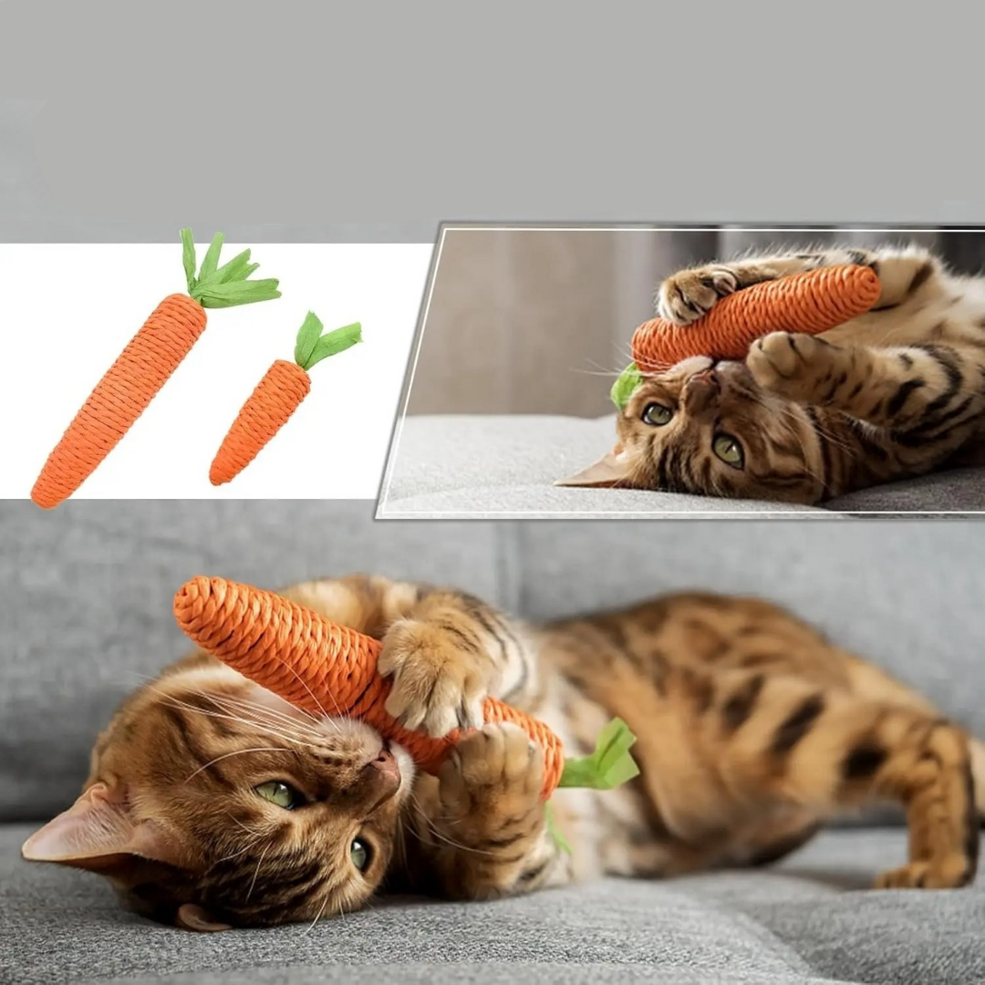 Durable Carrot Cat Chew Toy – Bite-Resistant Teething Toy for Dental Health and Fun Play 1