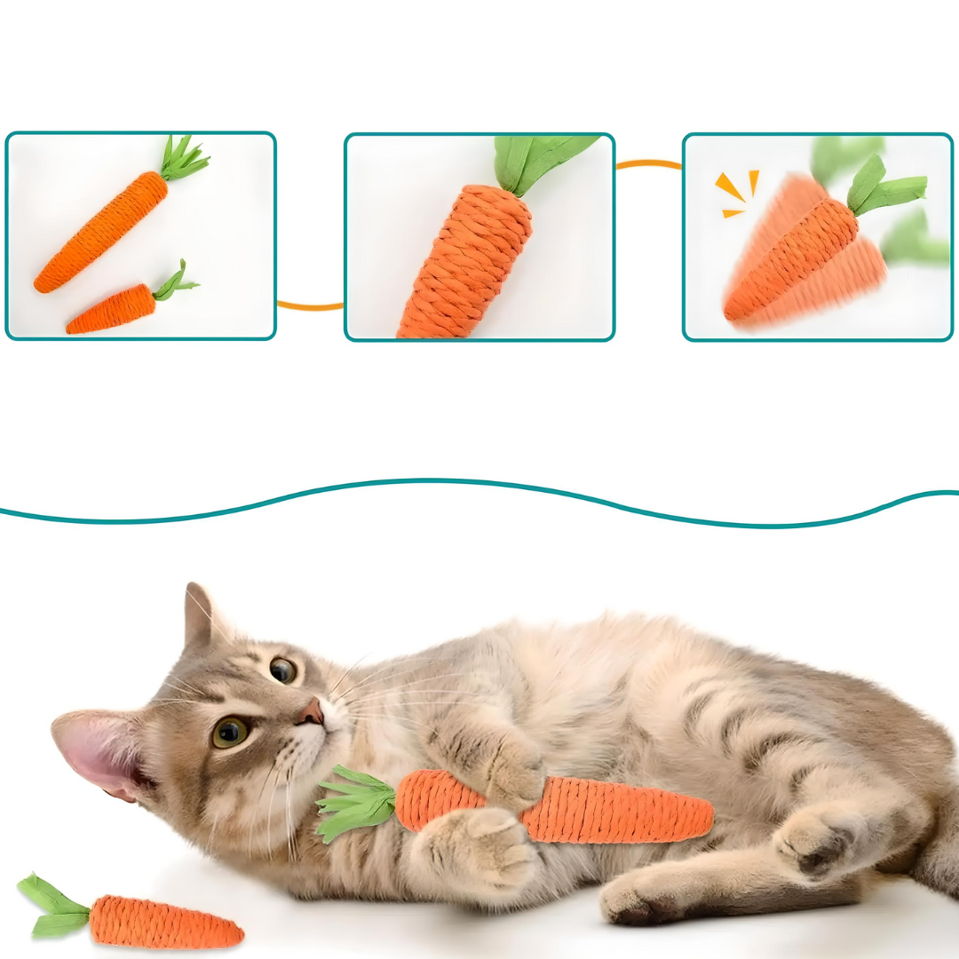 Durable Carrot Cat Chew Toy – Bite-Resistant Teething Toy for Dental Health and Fun Play 2
