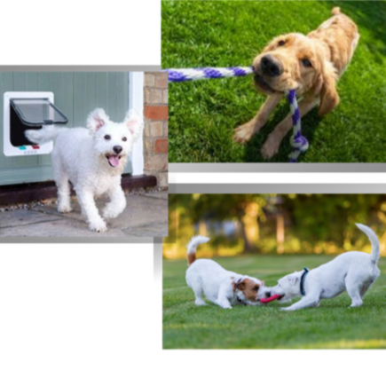 Durable Cat Door for Interior Door with 4 Locking Modes – Easy Installation Cat Flap for Cats 6