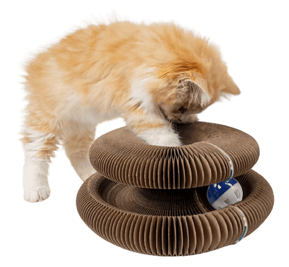 Durable Cat Scratching Board - 2-in-1 Moldable Design for Furniture Protection and Interactive Fun 1