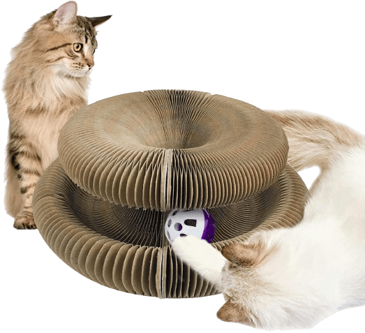 Durable Cat Scratching Board - 2-in-1 Moldable Design for Furniture Protection and Interactive Fun 2