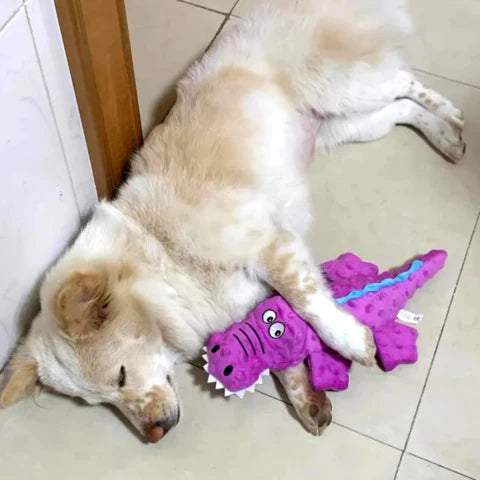 Durable Crocodile Plush Dog Toy for Aggressive Chewers with Squeaker – Pet Safe and Easy to Clean, 37cm Long 2