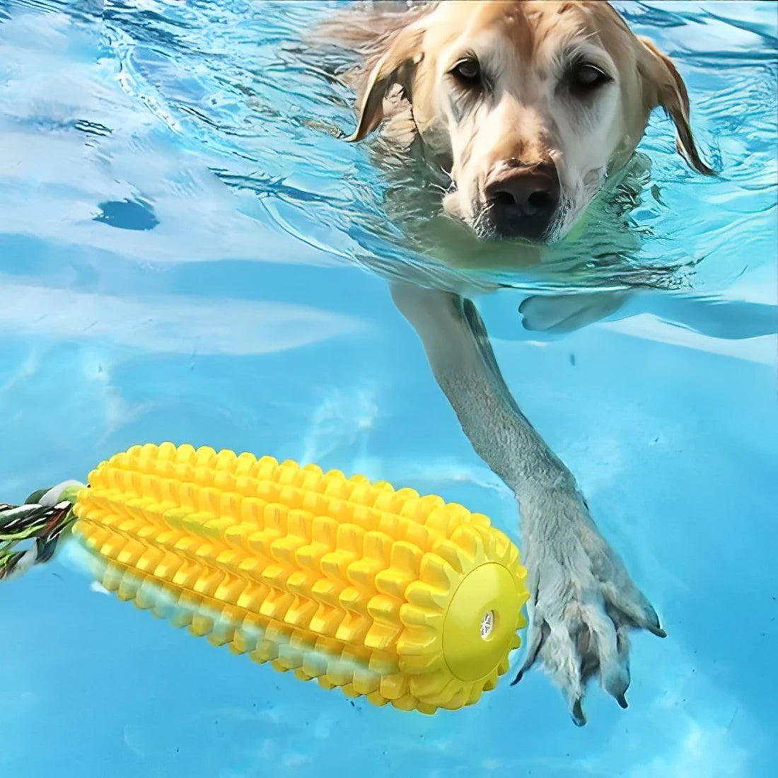 Durable Dog Chew Toy for Aggressive Chewers – Teeth-Cleaning Corn Stick 3