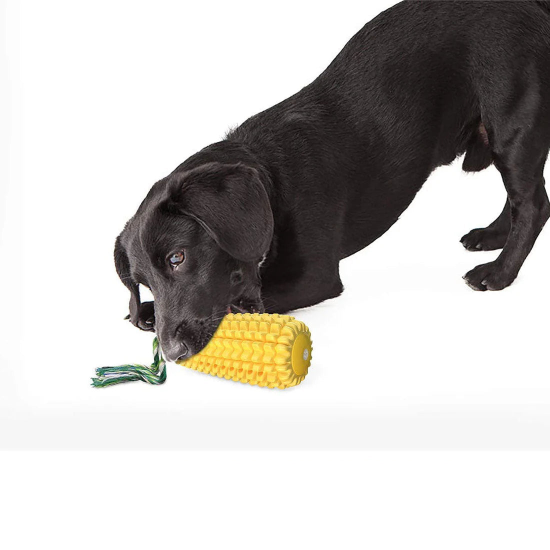 Durable Dog Chew Toy for Aggressive Chewers – Teeth-Cleaning Corn Stick 4