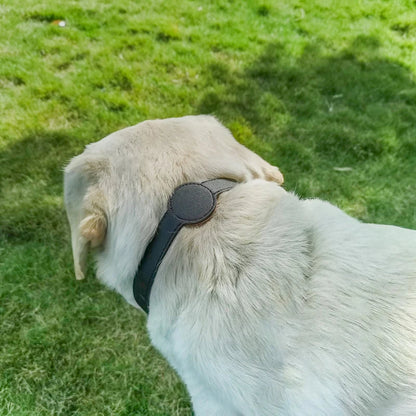 Durable Dog Collar with Airtag Holder - Weather-Resistant, Comfortable, Adjustable Sizes XS, S, M 2