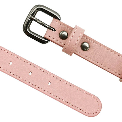 Durable Dog Collar with Airtag Holder - Weather-Resistant, Comfortable, Adjustable Sizes XS, S, M 3