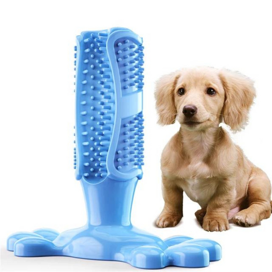 Durable Dog Dental Chew Toy with Tooth-Cleaning Bristles for Healthy Teeth - Medium Rubber Interactive Toy 0