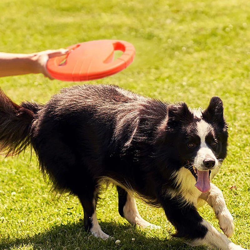 Durable Dog Frisbee Toy for Active Play – Lightweight, Water-Resistant, Safe for All Dog Sizes 2