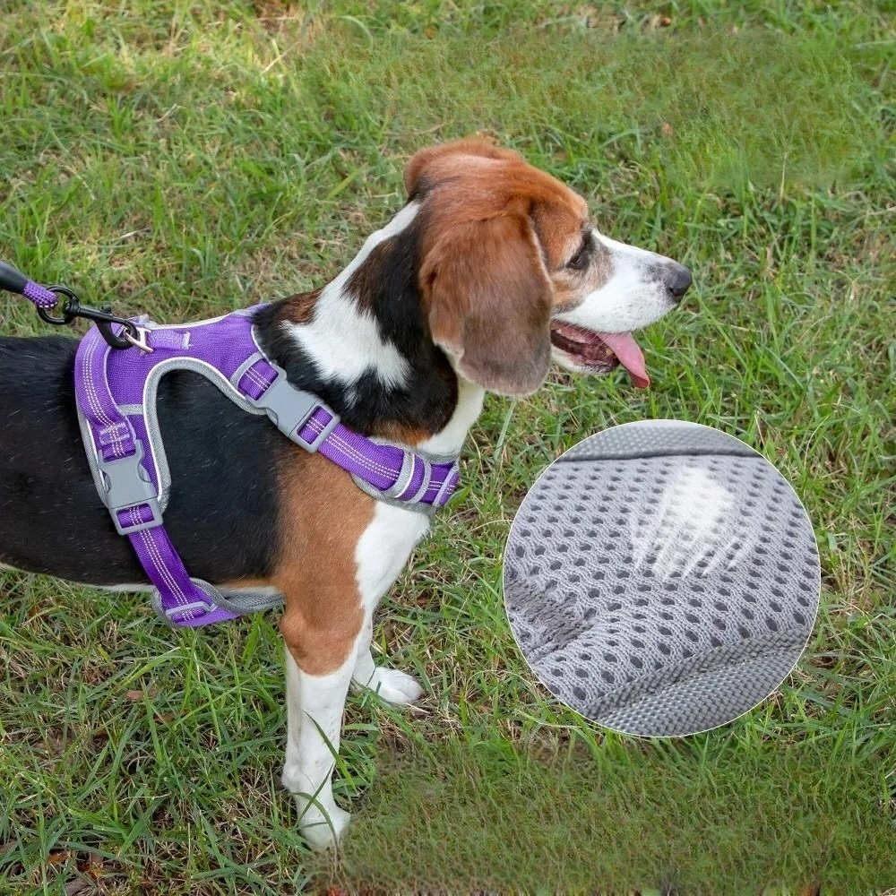 Durable Double-Layer Dog Harness for All Breeds – No-Pull Vest Style with High Visibility 1