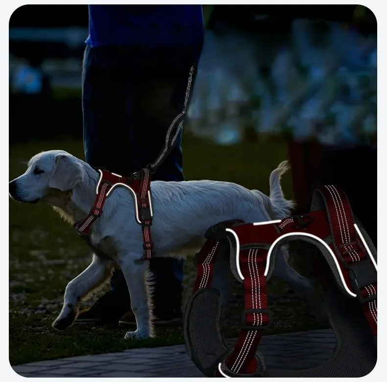 Durable Double-Layer Dog Harness for All Breeds – No-Pull Vest Style with High Visibility 2