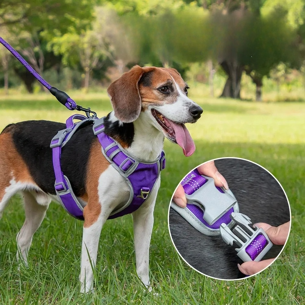 Durable Double-Layer Dog Harness for All Breeds – No-Pull Vest Style with High Visibility 3