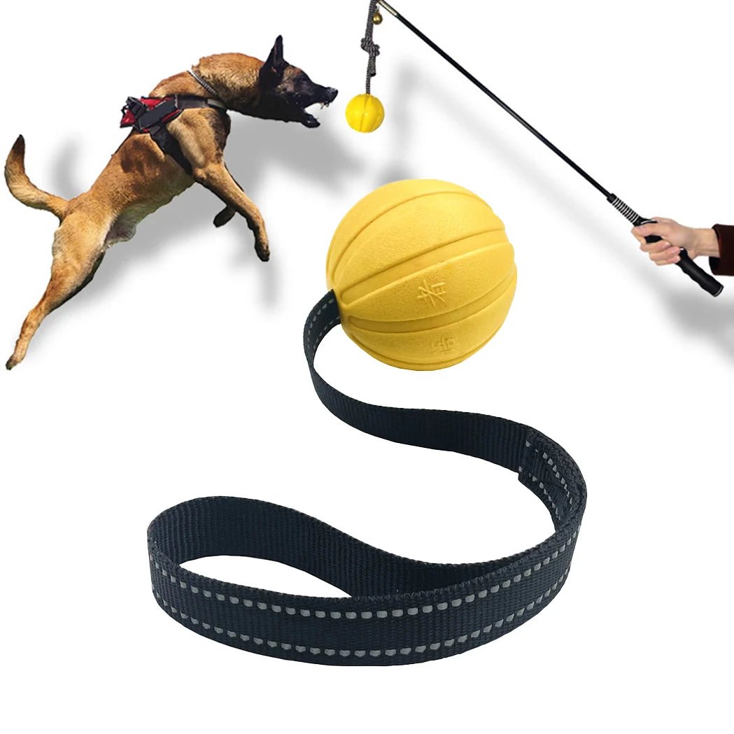 Durable Floating Dog Ball on Rope for Interactive Play – Perfect for All Dog Sizes 1