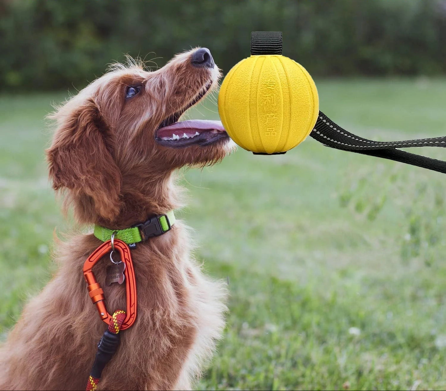 Durable Floating Dog Ball on Rope for Interactive Play – Perfect for All Dog Sizes 2