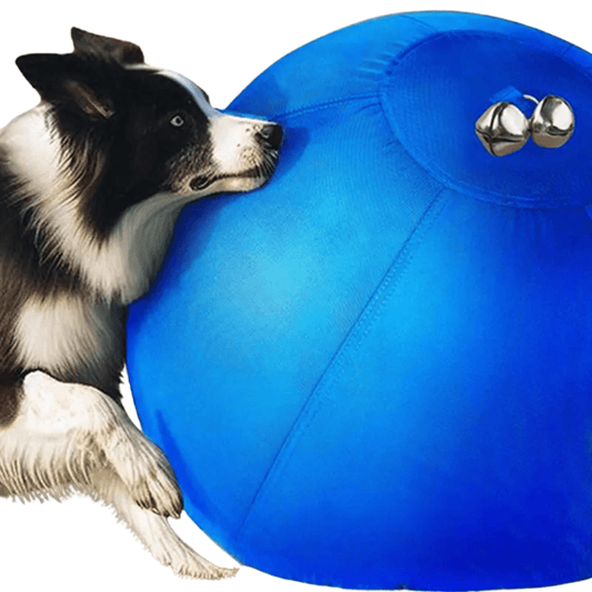 Durable Floating and Bouncing Herding Ball for Active Dogs – Ideal for Training and Play 0