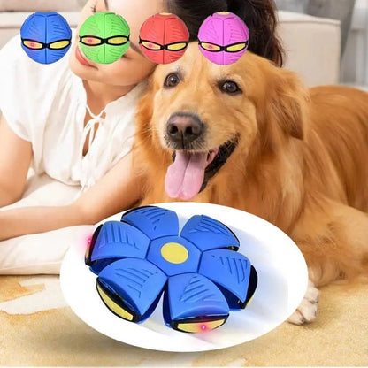 Durable Flying Saucer Disc Ball Dog Toy – Interactive Fetch Toy for All Breeds, High-Flyer Design in Vibrant Colors 2