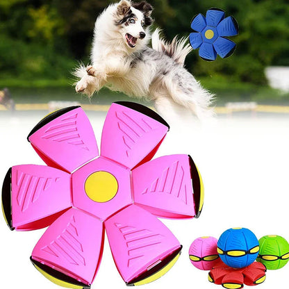 Durable Flying Saucer Disc Ball Dog Toy for Aggressive Chewers – Interactive Fetch Toy in Vibrant Colors 6