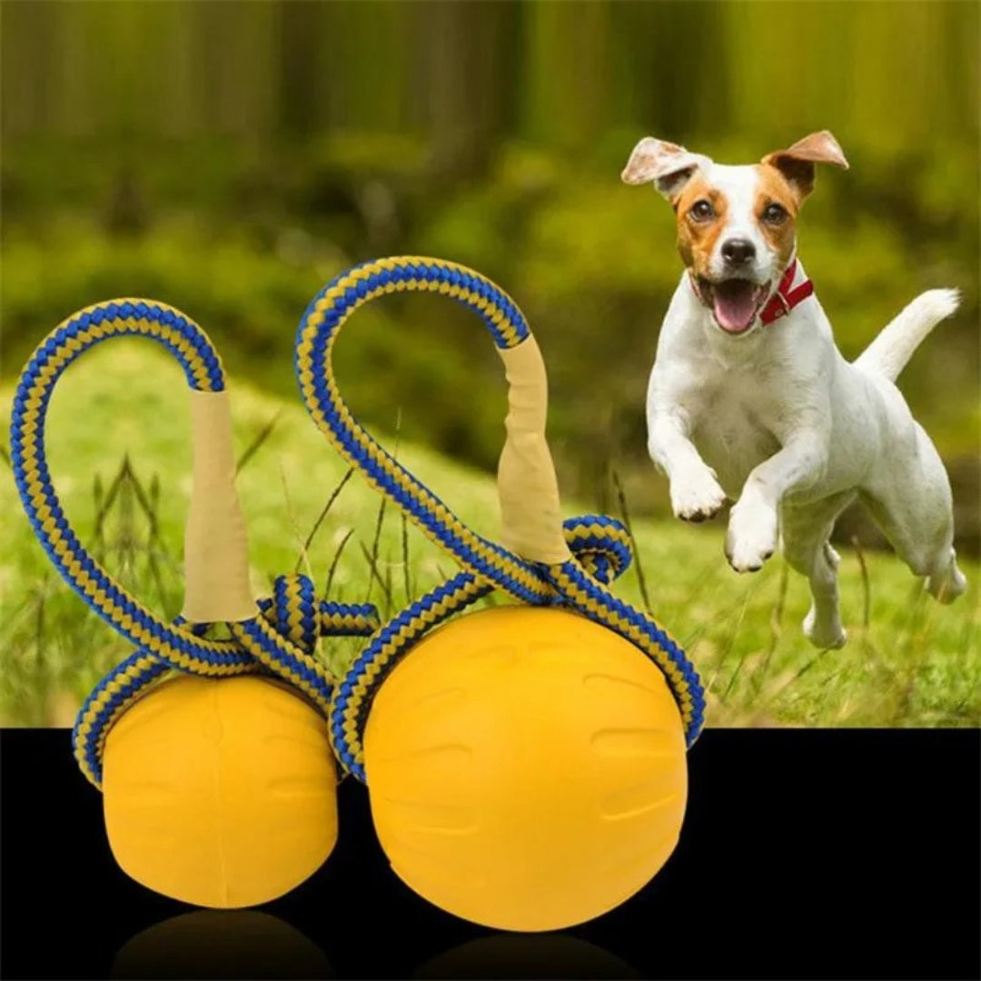 Durable Indestructible Dog Toy Rubber Ball for Aggressive Chewers – Interactive Chew Toy for All Sizes 1