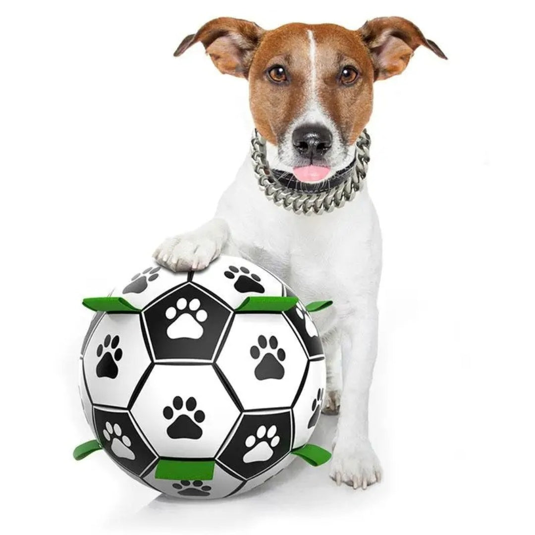 Durable Interactive Fetch Ball for Medium and Large Dogs – Rubber Chew Toy with Easy-Grip Tabs for Active Play 8