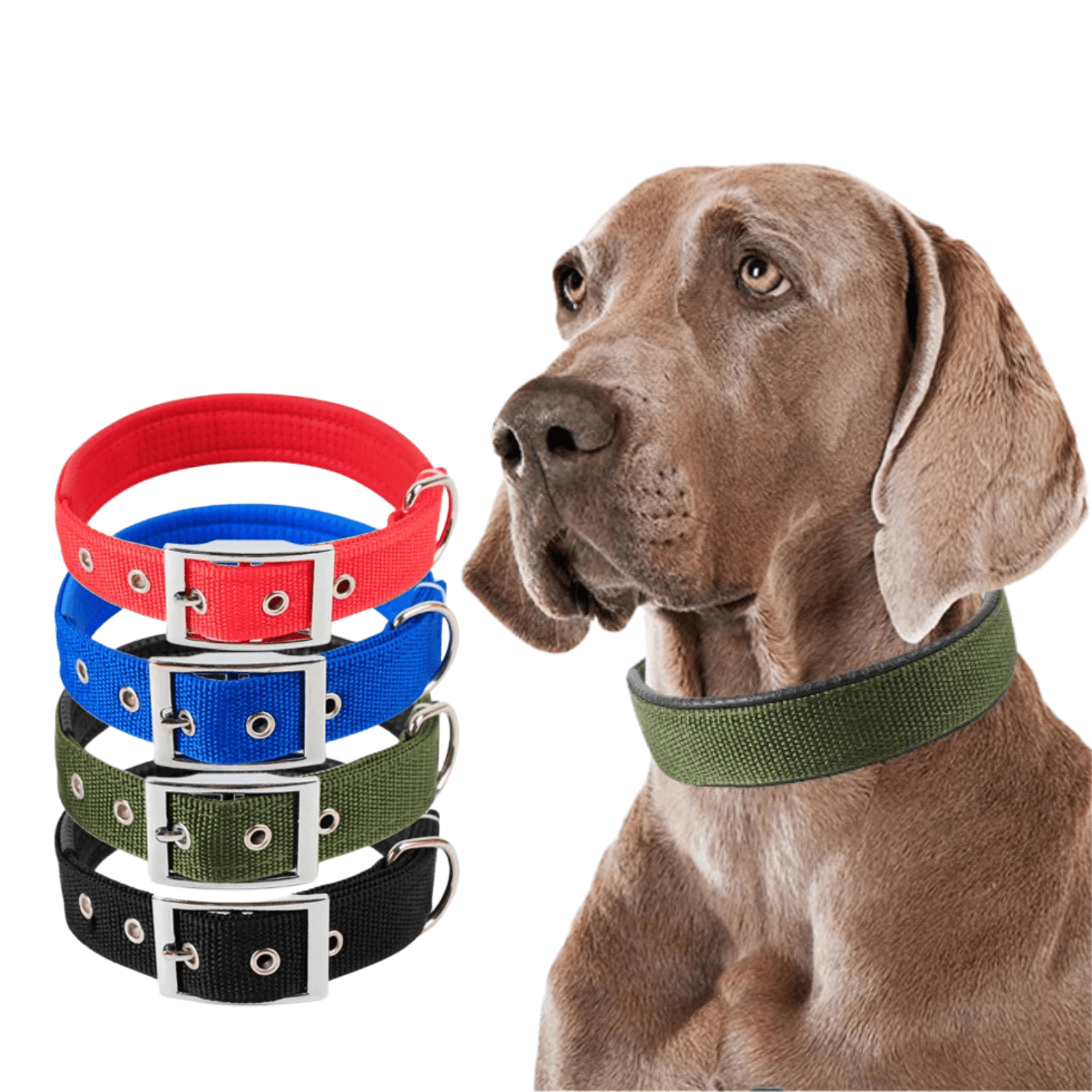 Durable Nylon Dog Collar with Adjustable Fit – Comfortable and Stylish for All Breeds 2