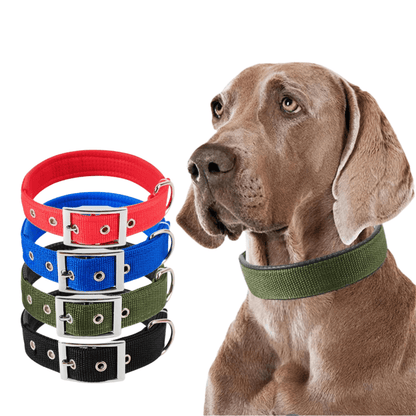 Durable Nylon Dog Collar with Adjustable Fit – Comfortable and Stylish for All Breeds 2