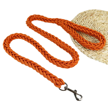 Durable Nylon Dog Leash for Medium and Large Dogs – Comfortable and Strong 10