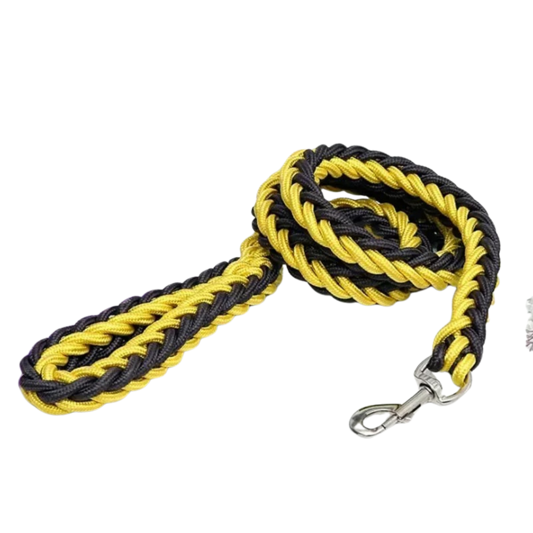 Durable Nylon Dog Leash for Medium and Large Dogs – Comfortable and Strong 15