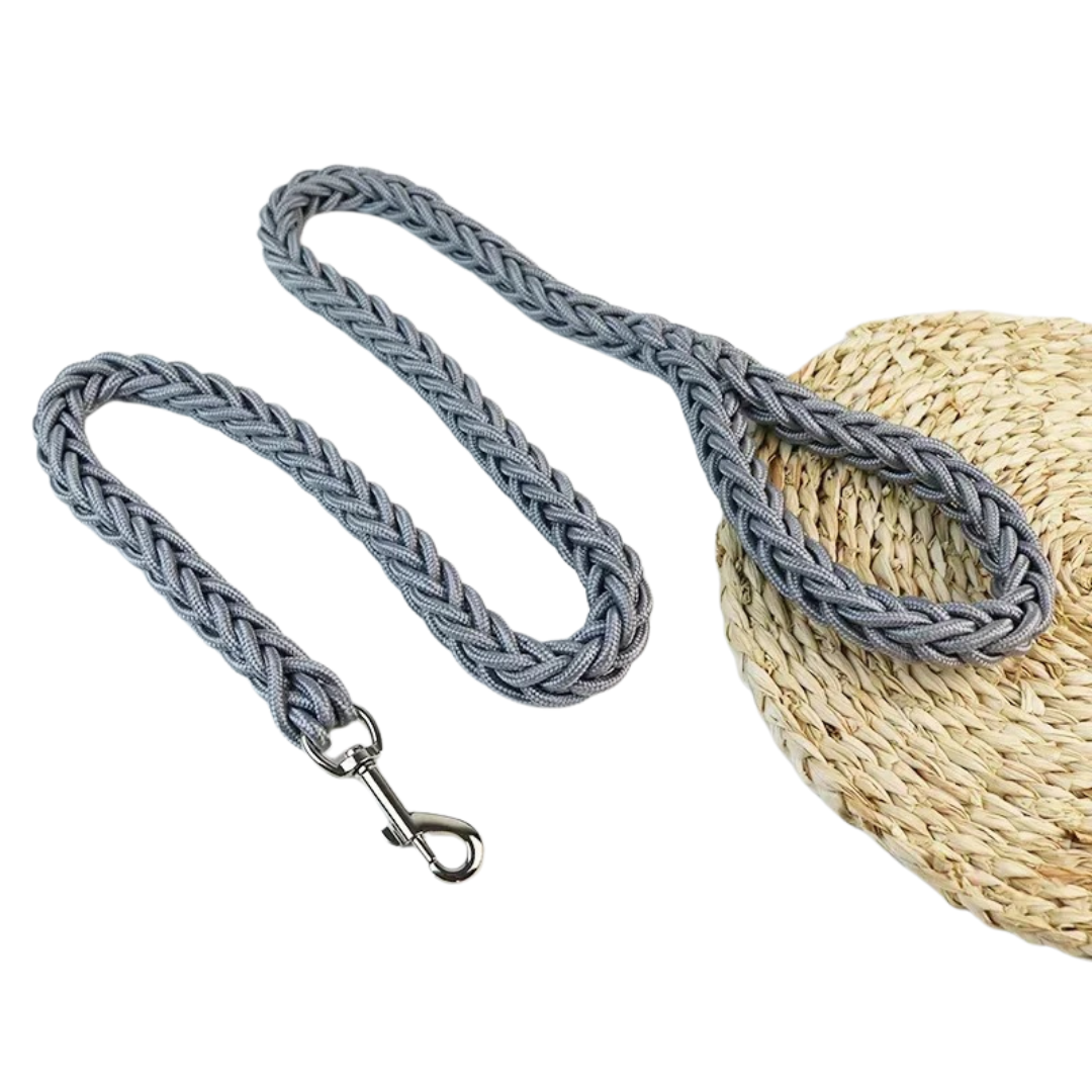 Durable Nylon Dog Leash for Medium and Large Dogs – Comfortable and Strong 22