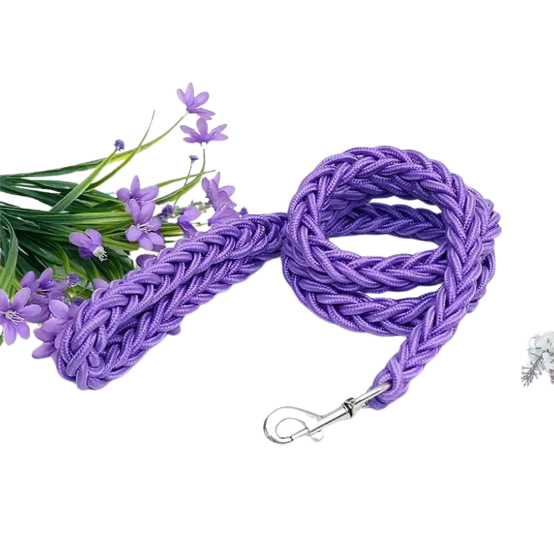 Durable Nylon Dog Leash for Medium and Large Dogs – Comfortable and Strong 24
