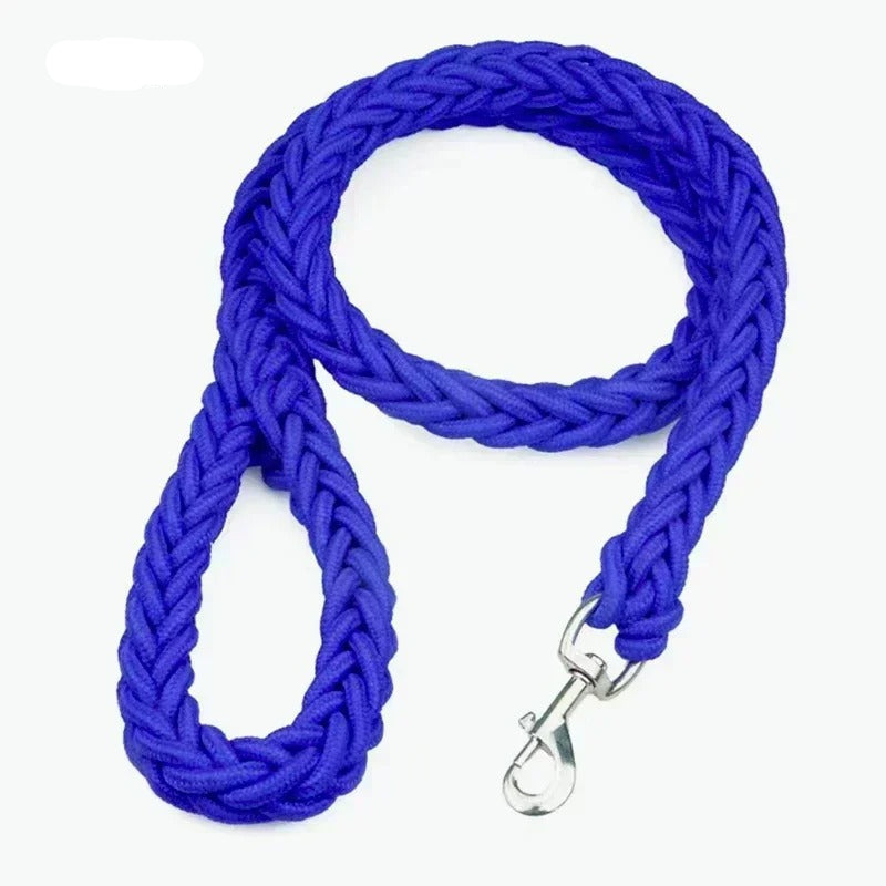 Durable Nylon Dog Leash for Medium and Large Dogs – Comfortable and Strong 25