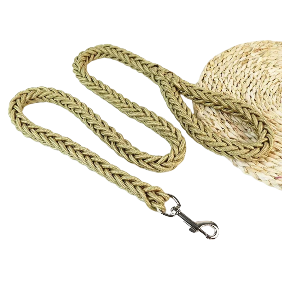 Durable Nylon Dog Leash for Medium and Large Dogs – Comfortable and Strong 26