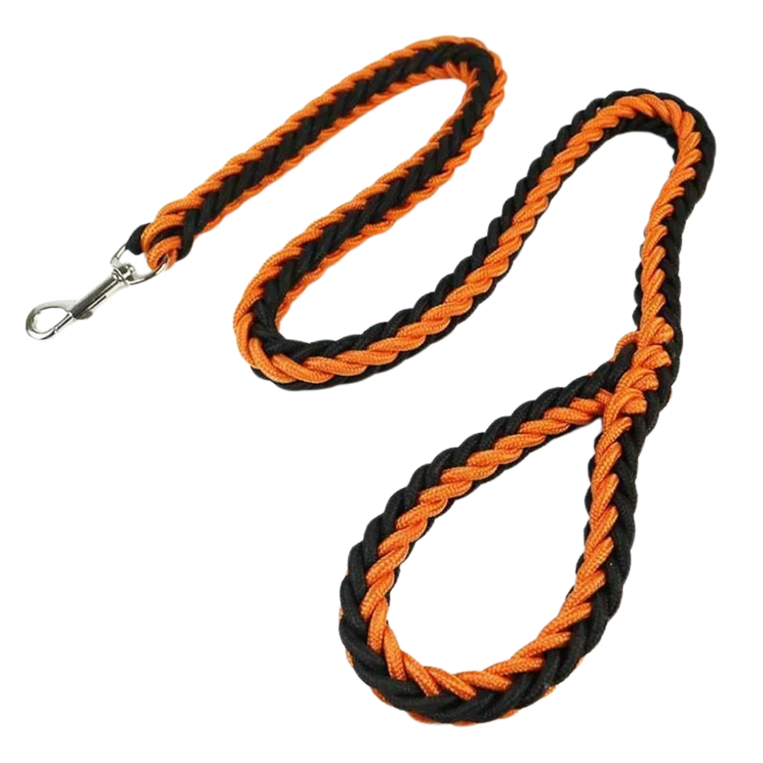 Durable Nylon Dog Leash for Medium and Large Dogs – Comfortable and Strong 28