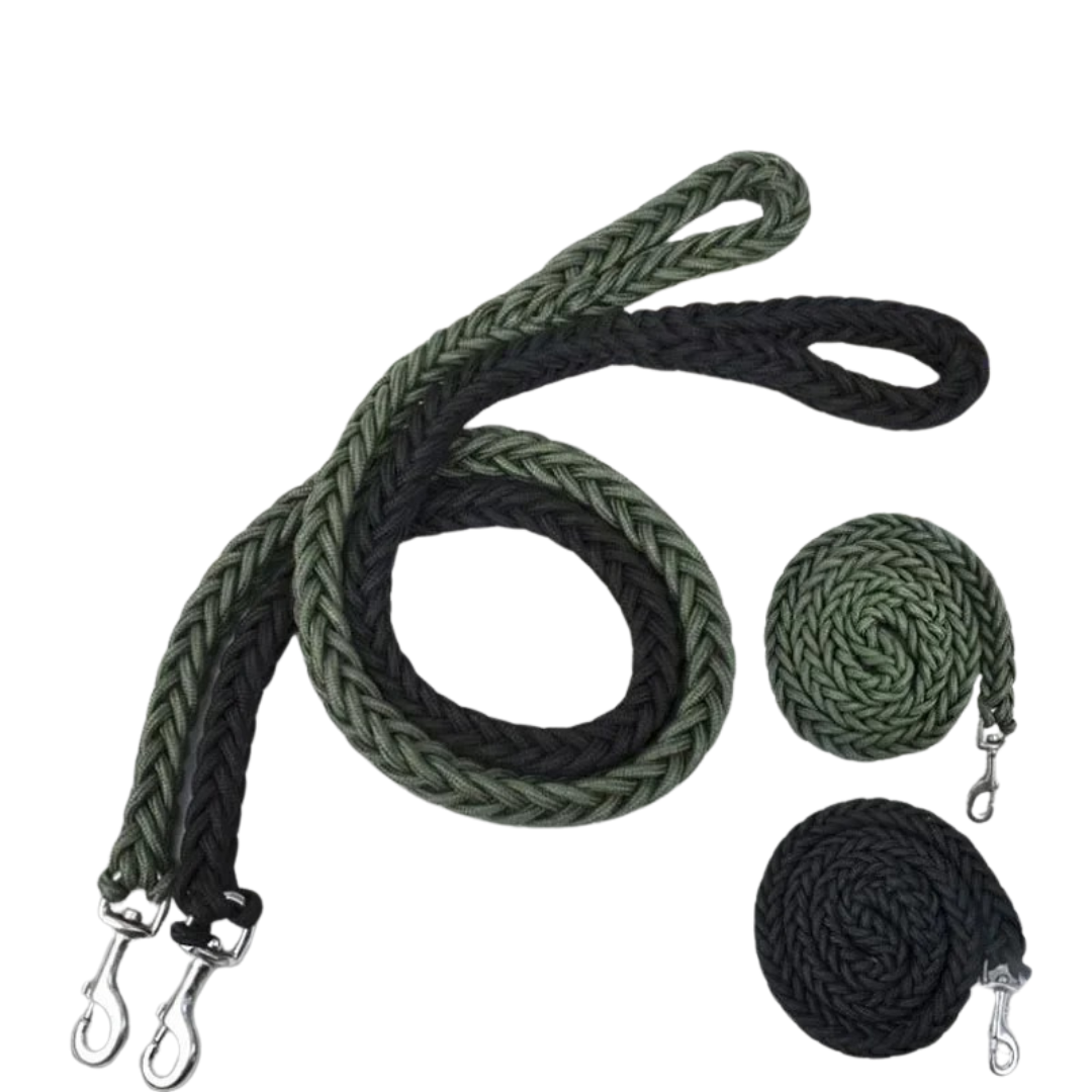 Durable Nylon Dog Leash for Medium and Large Dogs – Comfortable and Strong 4