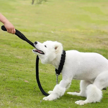 Durable Nylon Dog Leash for Medium and Large Dogs – Comfortable and Strong 5