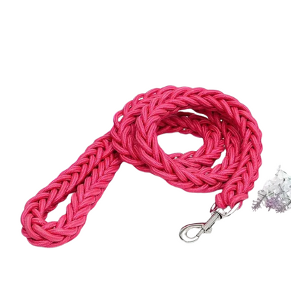Durable Nylon Dog Leash for Medium and Large Dogs – Comfortable and Strong 9