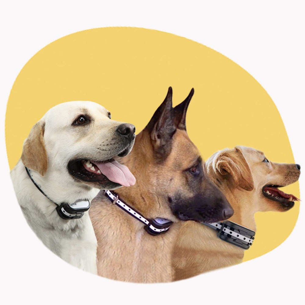 Durable Paw Protectors for Dogs - Comfortable Paw Pads for Active Pets, Ideal for Outdoor Adventures 1