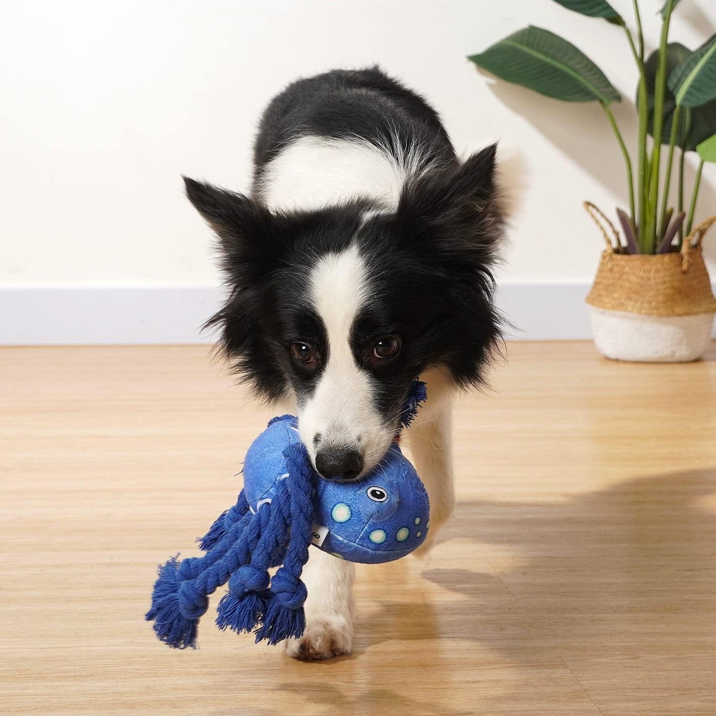 Durable Plush Octopus Dog Toy for Tough Chewers – Ideal for Tug-of-War 3
