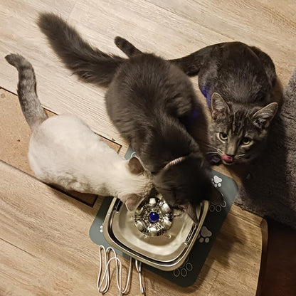 Durable Stainless Steel Cat Water Fountain with 95 oz Capacity and Quiet Operation 6