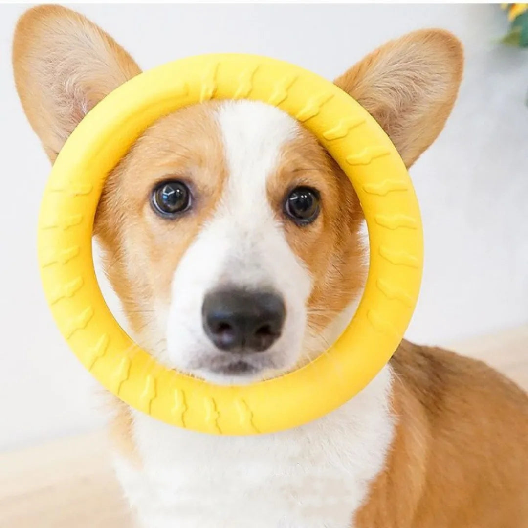 Durable Yellow Rubber Chew Ring for Dogs – Interactive Toy for Active Play in Small and Large Sizes 1