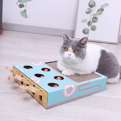 Eco-Friendly Cat Playground Indoor with Scratching Post and Interactive Toys – Compact 3-in-1 Cat Wall Playground for Active Play 0