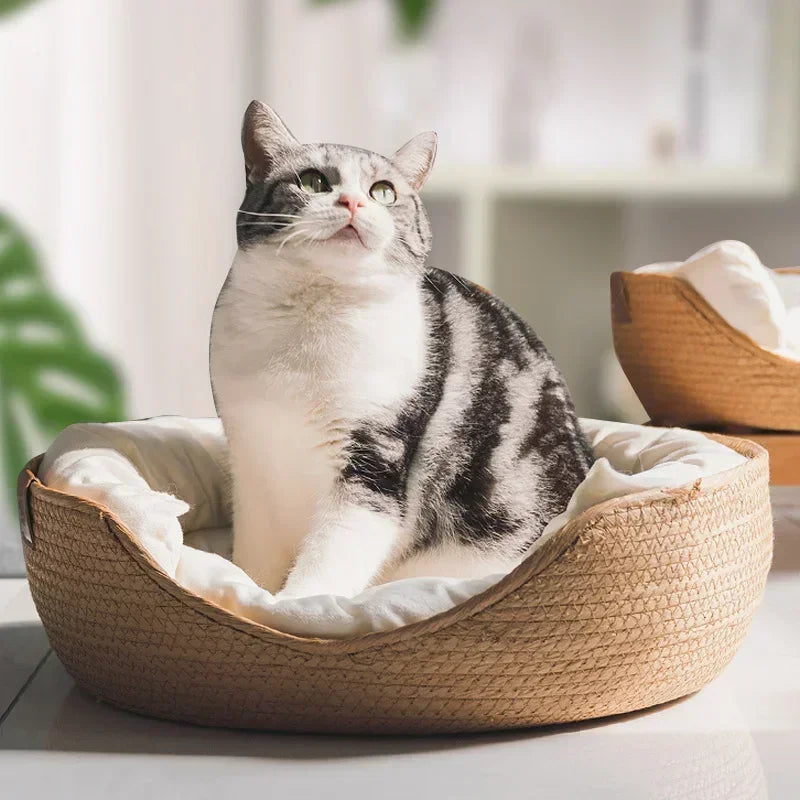 Eco-Friendly Handwoven Cat Bed Sofa – Stylish 100% Cotton Design for Small to Medium Cats 2