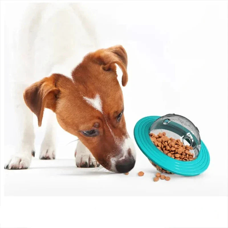 Educational Ball | Training Toys 3