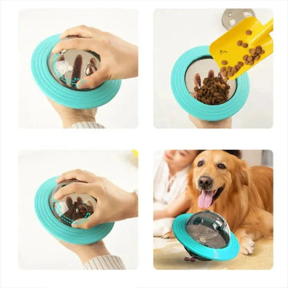 Educational Ball | Training Toys 5