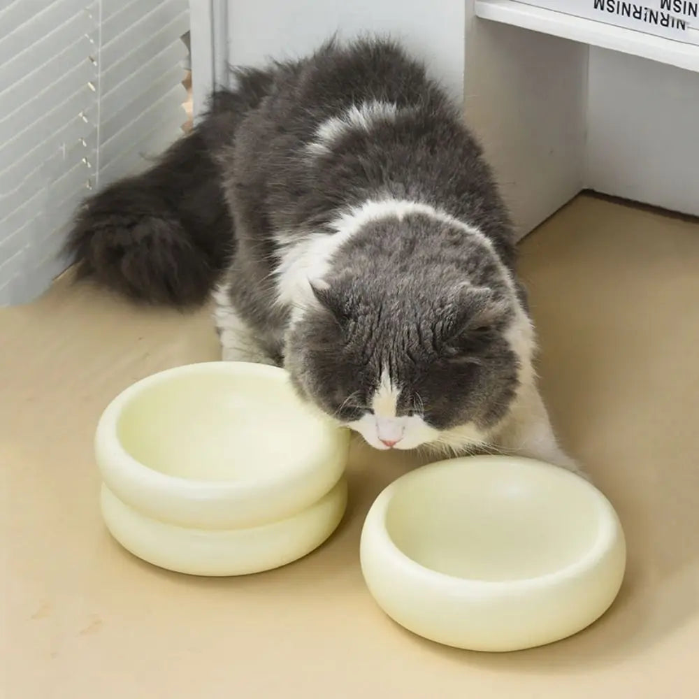Elegant Ceramic Pet Bowl for Stylish Dining – 350ml Capacity 3