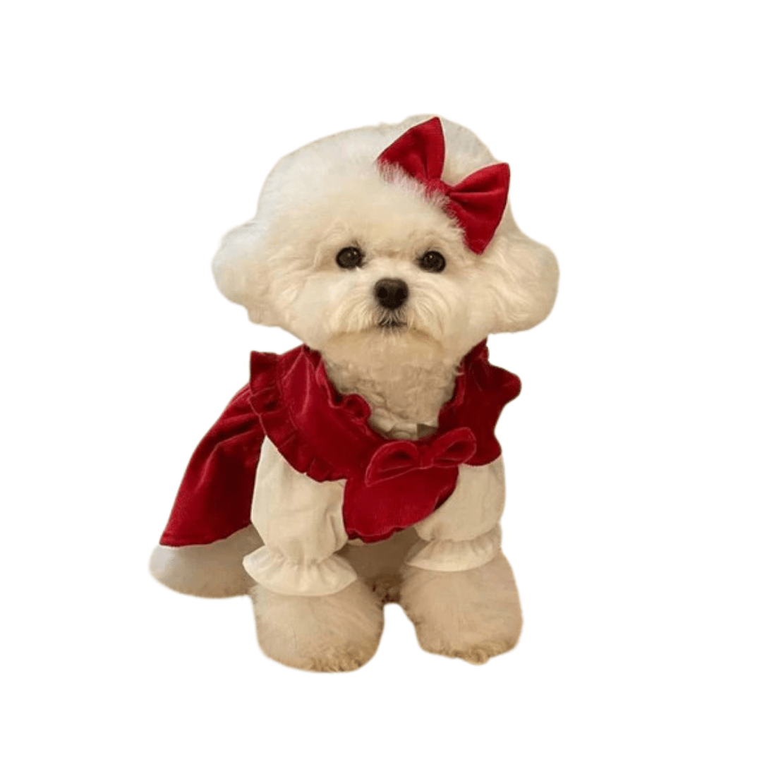 Elegant Dog Dress Set for Small Dogs – Soft Fabric with Bow Accents, Ideal for Parties and Special Occasions 1