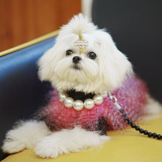 Elegant Pearl Beaded Dog Necklace for Small to Medium Dogs – Pink and White Colors, Lightweight and Stylish Accessory 1