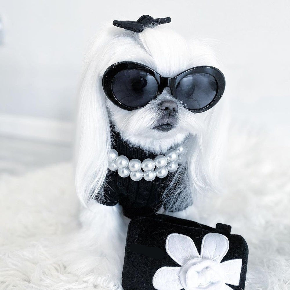 Elegant Pearl Beaded Dog Necklace for Small to Medium Dogs – Pink and White Colors, Lightweight and Stylish Accessory 3