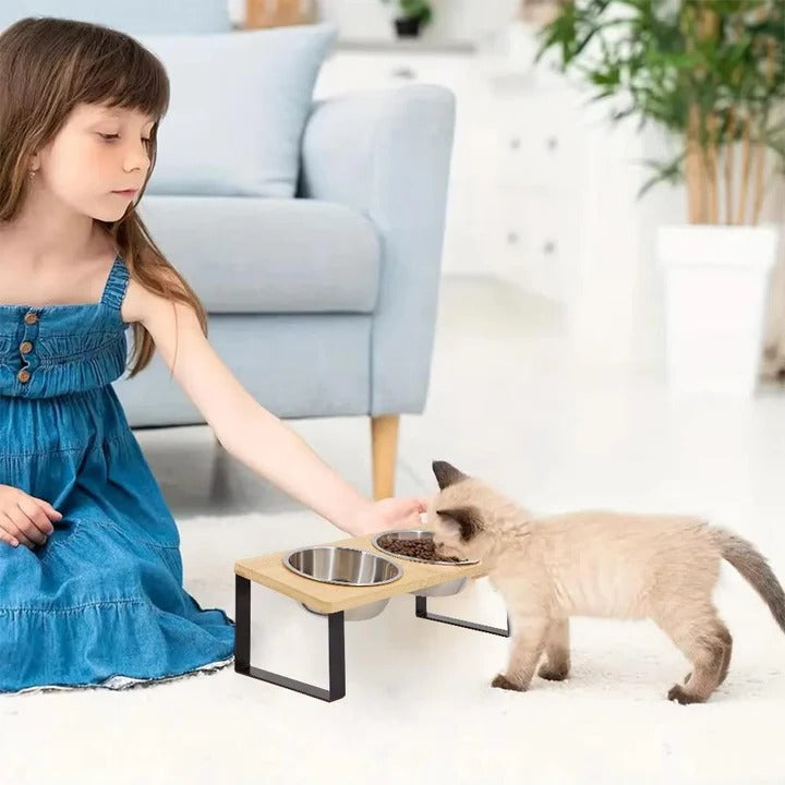 Elevated Cat Bowl for Improved Digestion – Stainless Steel and ABS Plastic Raised Cat Food Bowls for Comfortable Eating 0