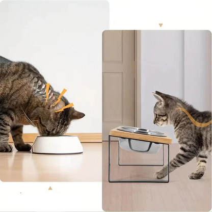 Elevated Cat Bowl for Improved Digestion – Stainless Steel and ABS Plastic Raised Cat Food Bowls for Comfortable Eating 1