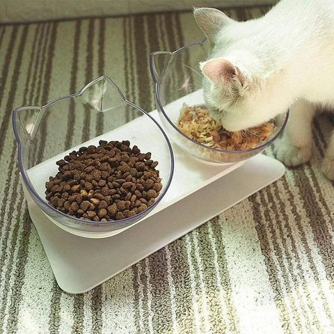 Elevated Cat Bowls – Anti-Vomiting Orthopedic Design for Improved Digestion and Comfort – Dishwasher Safe 6